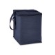 Cooler. Bolsa térmica em 600D 4 L Personalizado