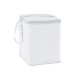 Cooler. Bolsa térmica em 600D 4 L Personalizado